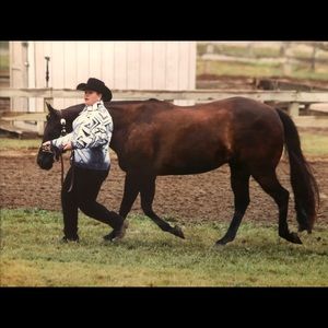 Meet your Posher, Carly